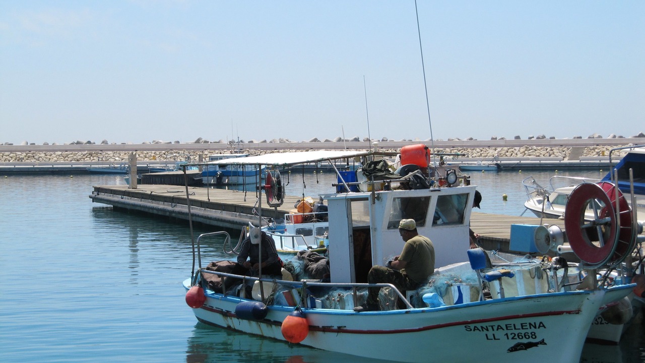 Photo of Others in Kalavasos