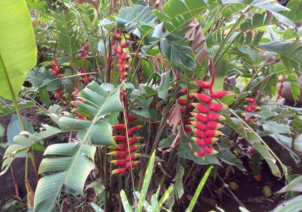Photo of Outdoor in Santa Cruz