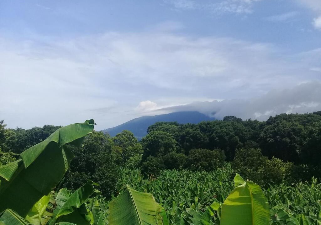 Photo of Others in Ometepe Island