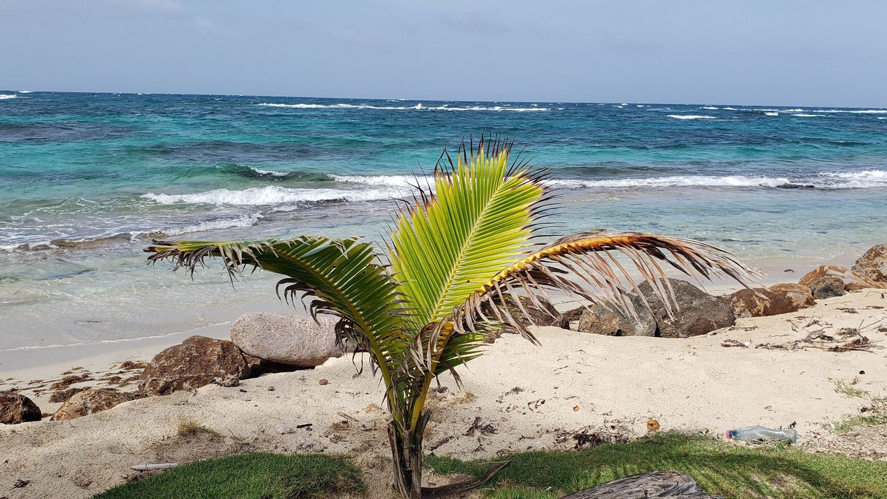 Photo of Outdoor in Corn Island