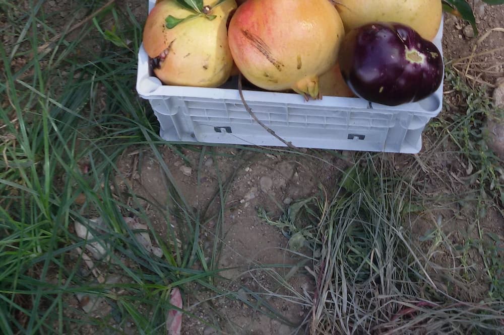 Photo of Outdoor in Pera Chorio