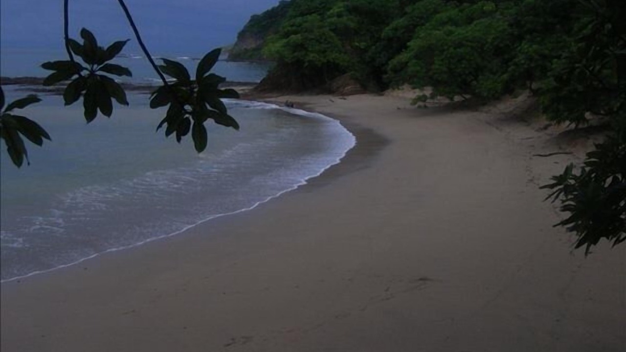 Photo of Others in San Juan del Sur