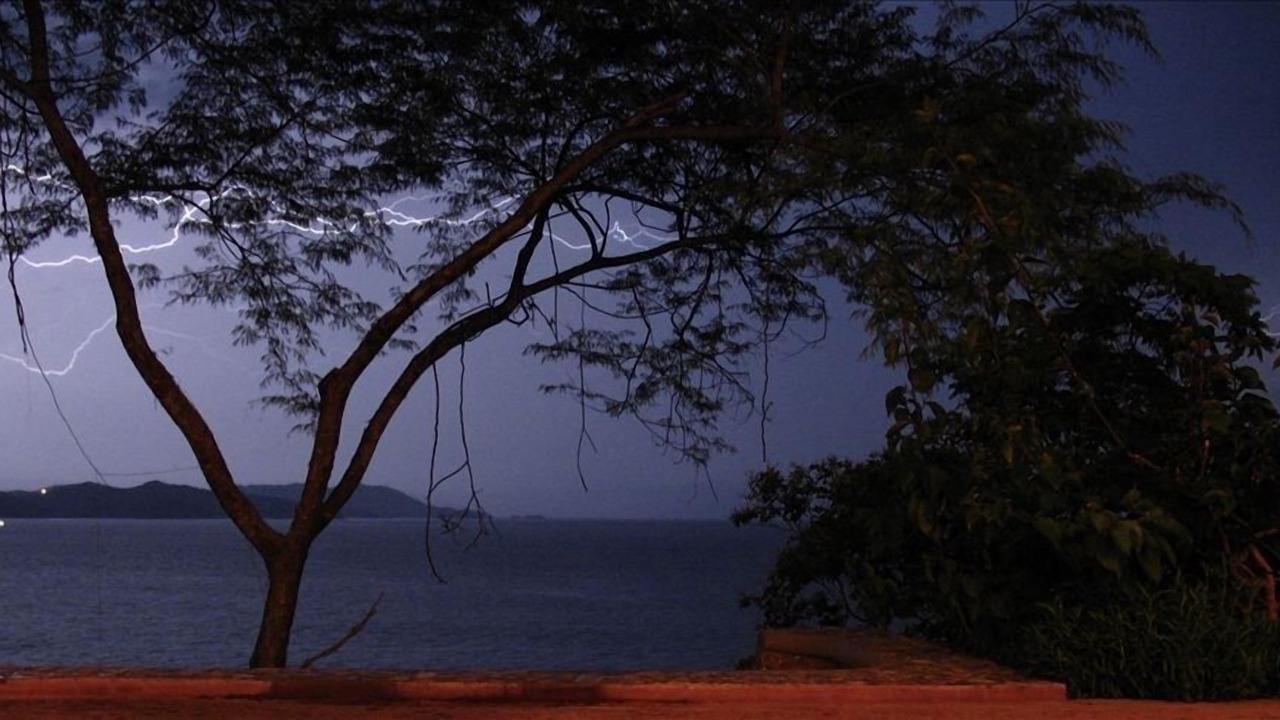 Photo of Others in San Juan del Sur