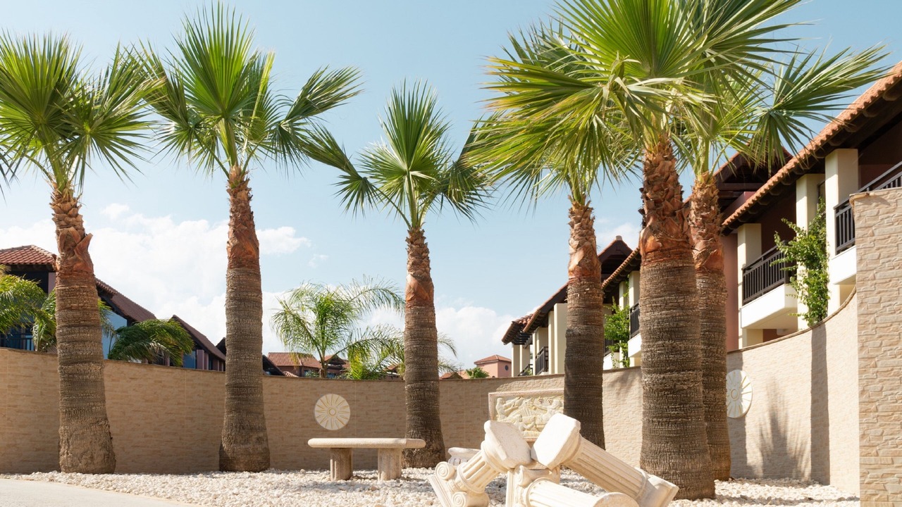 Photo of Outdoor in Alaminos