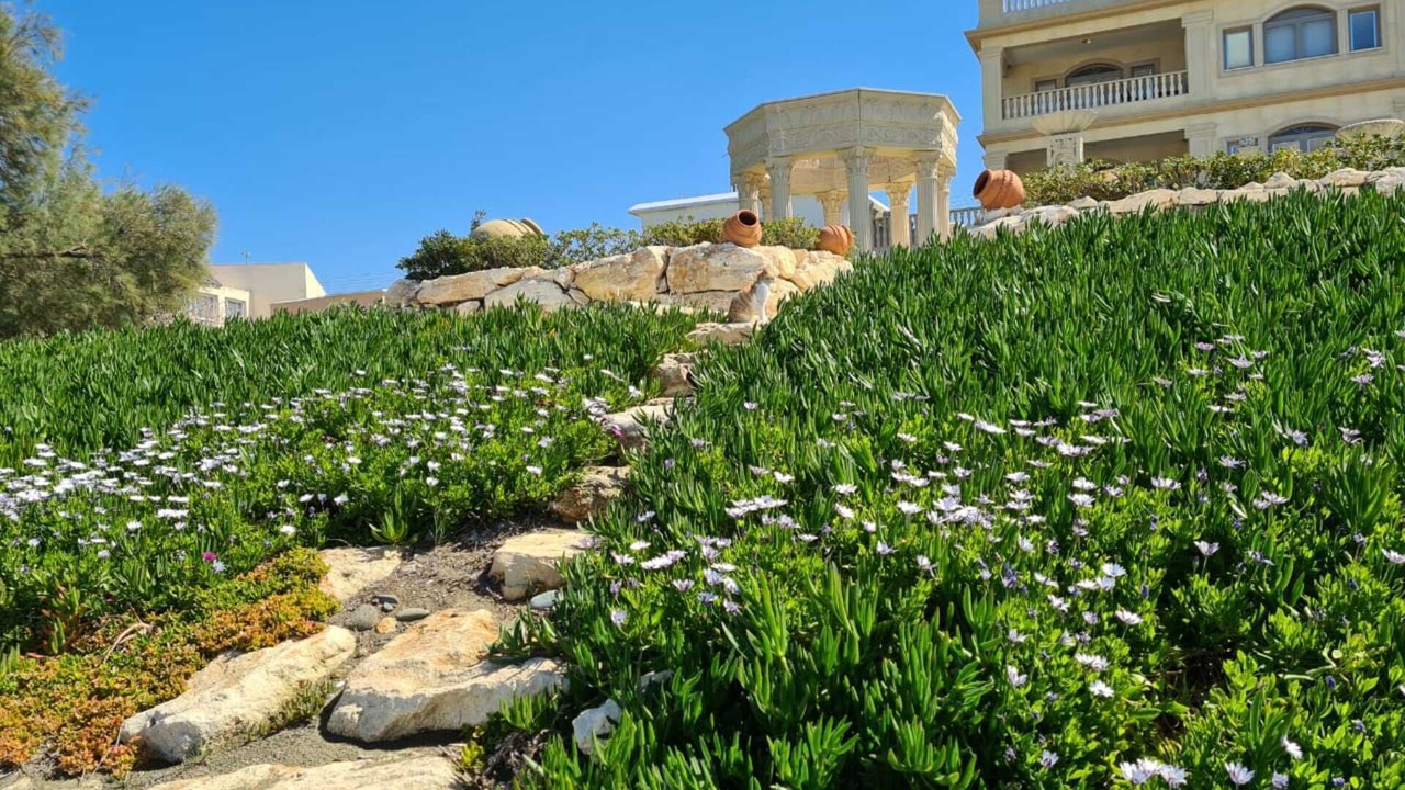 Photo of Outdoor in Ayia Marina Chrysochous