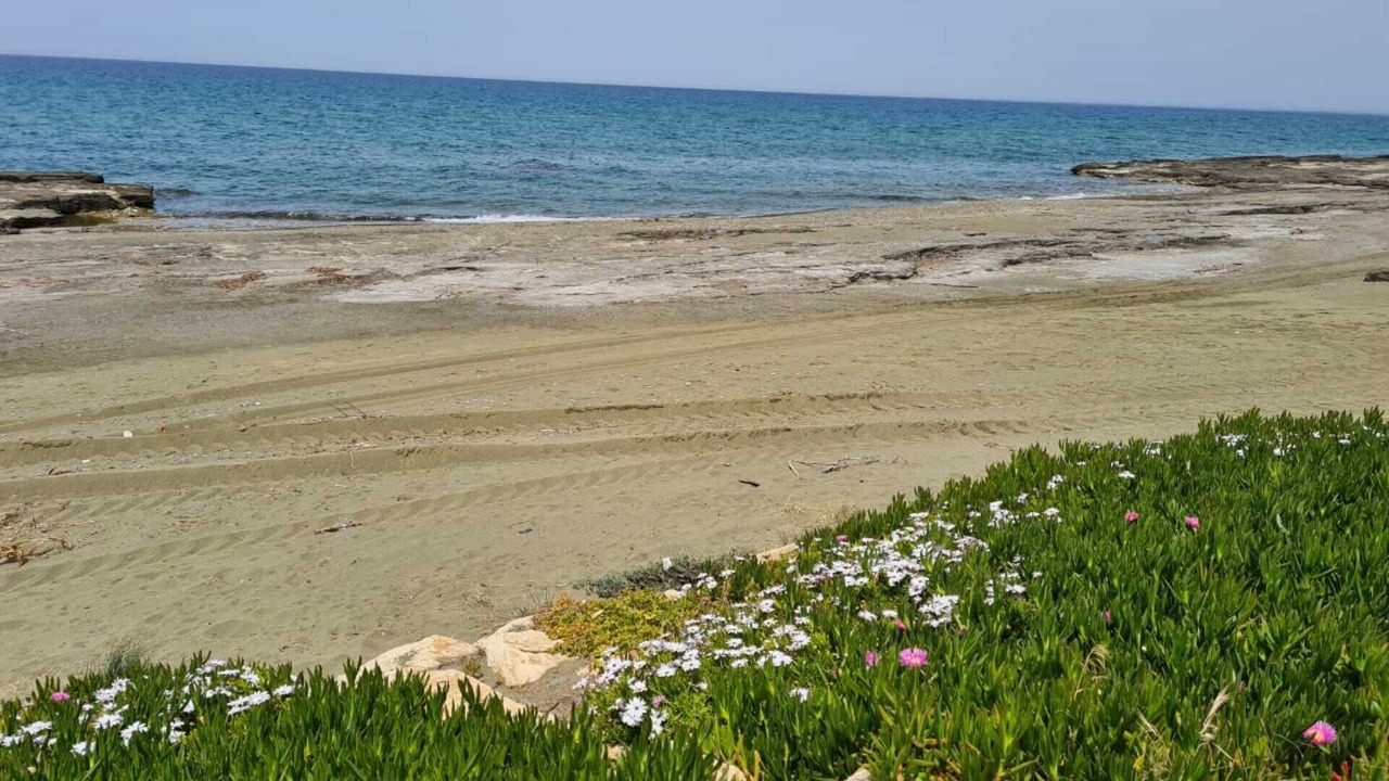 Photo of Others in Ayia Marina Chrysochous