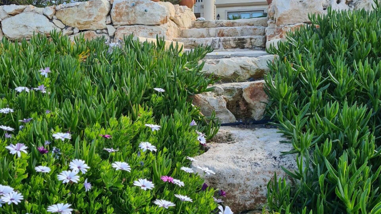 Photo of Outdoor in Ayia Marina Chrysochous