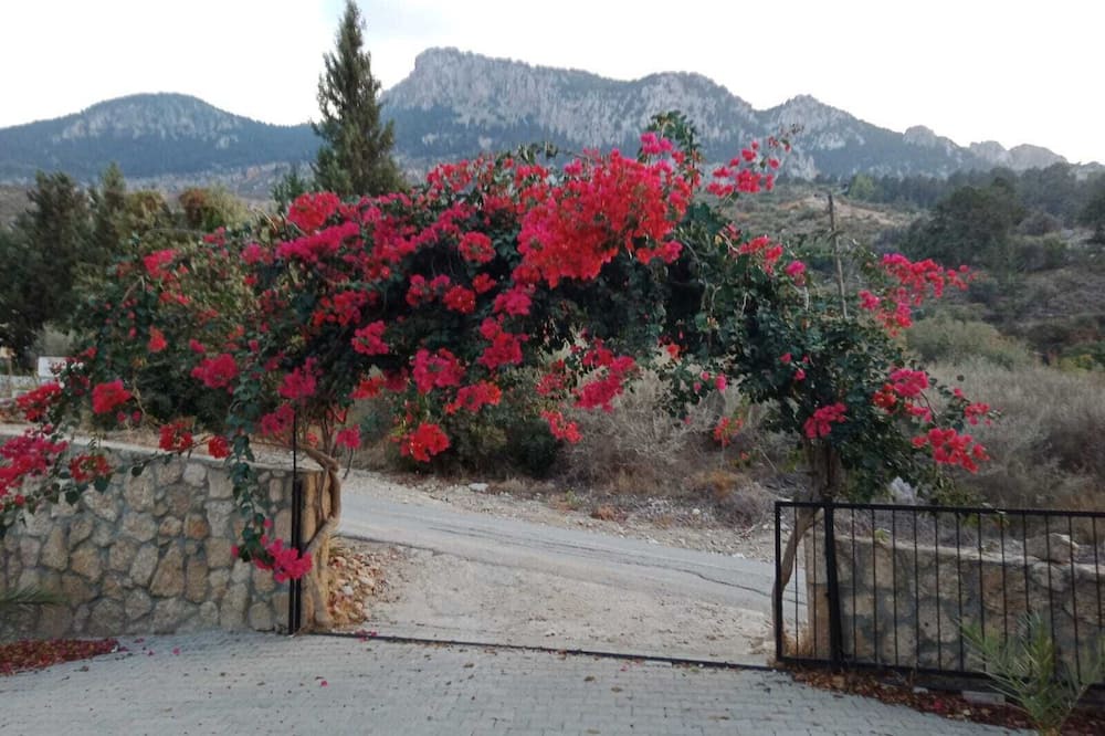 Photo of Outdoor in Kyrenia District