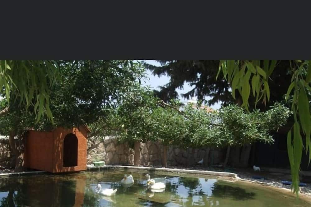 Photo of Outdoor in Kyrenia District