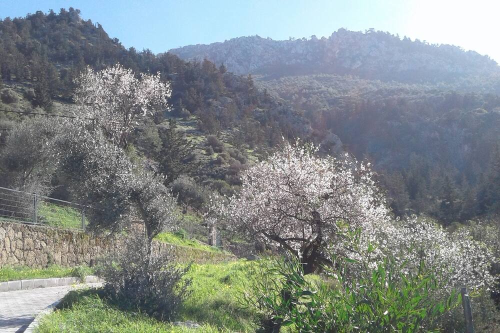 Photo of Others in Ilgaz
