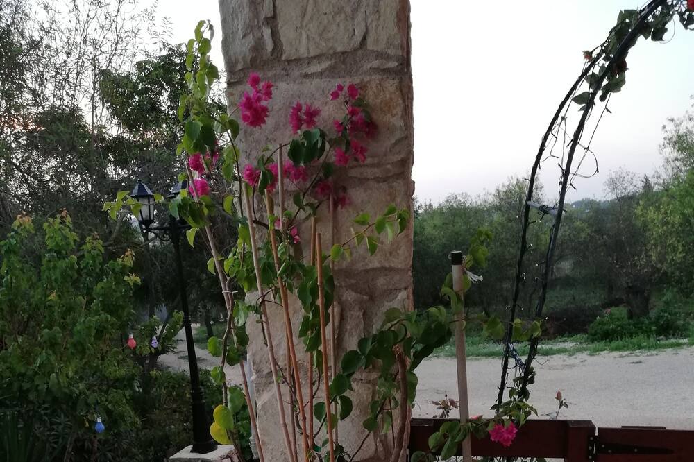 Photo of Outdoor in Geroskipou