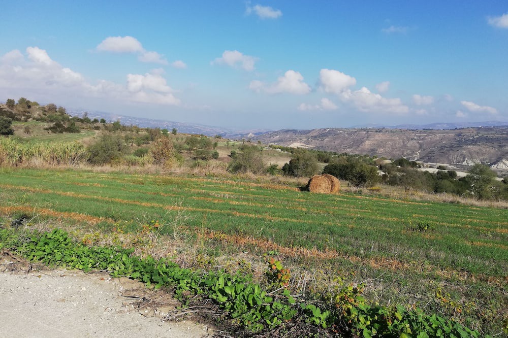 Photo of Outdoor in Geroskipou