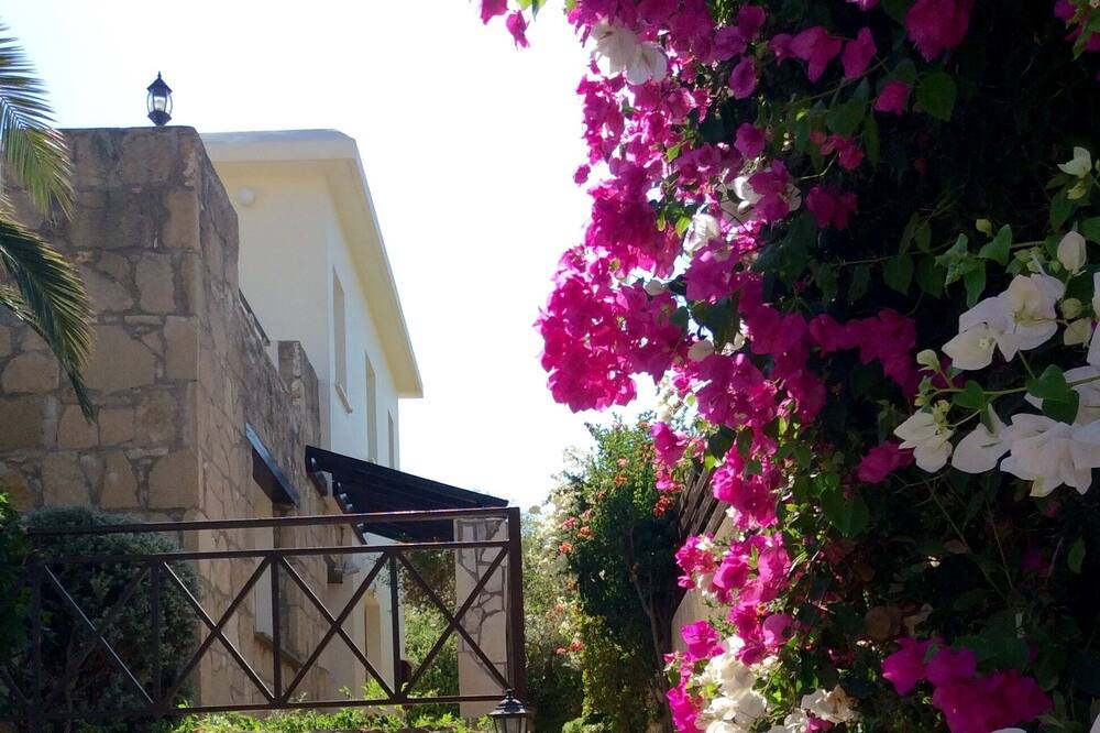 Photo of Outdoor in Kouklia