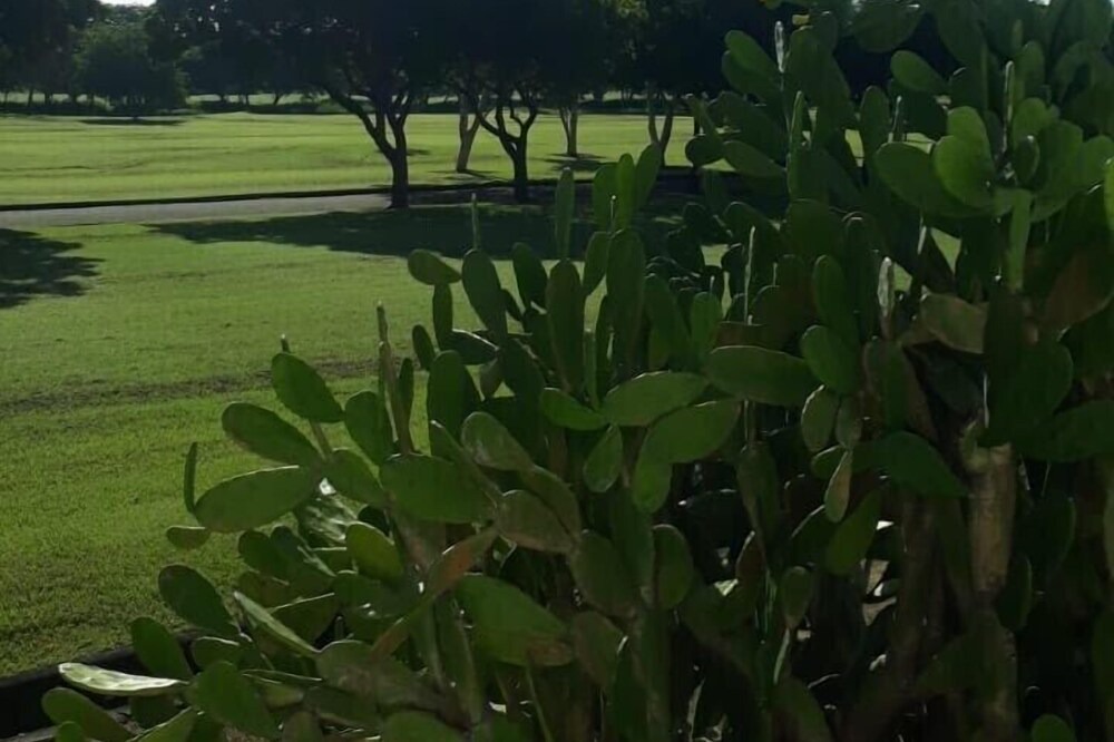 Photo of Outdoor in San Diego