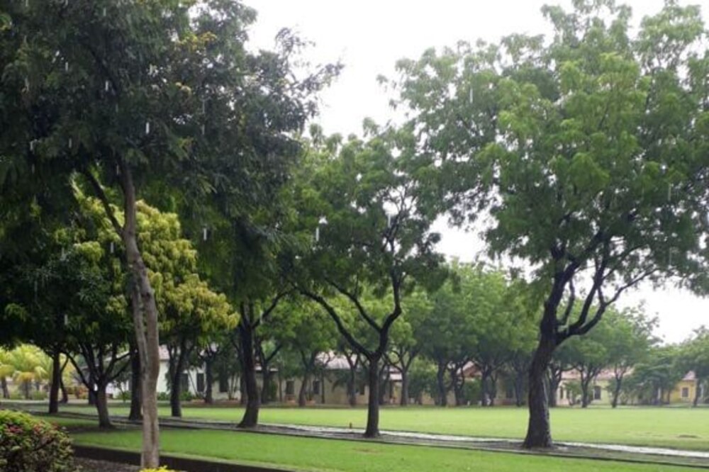 Photo of Outdoor in San Diego
