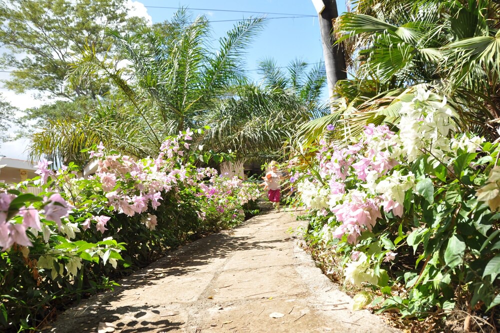Photo of Outdoor in Managua