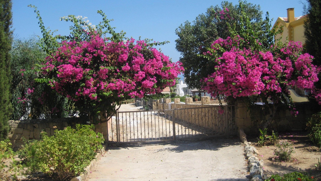 Photo of Outdoor in Catalkoy