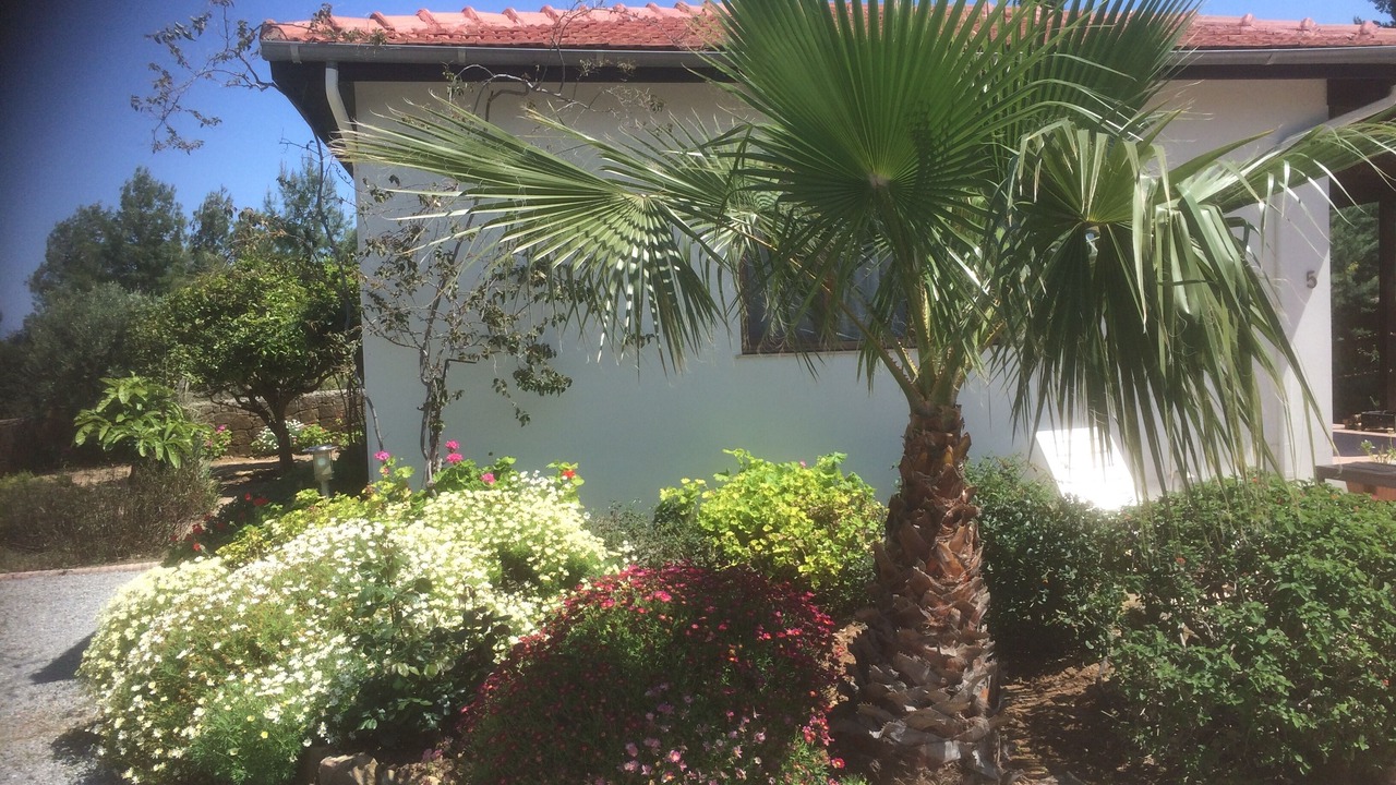 Photo of Outdoor in Catalkoy
