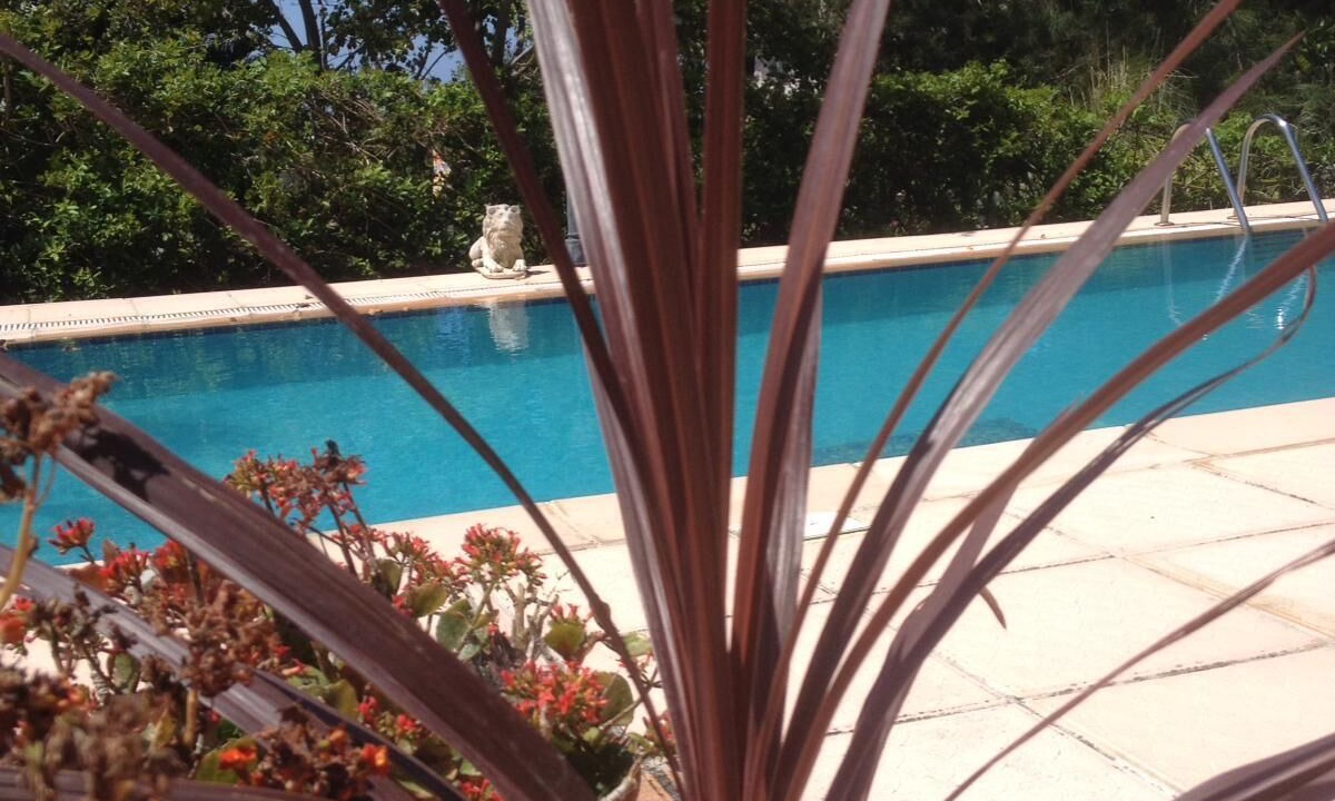 Photo of Outdoor in Catalkoy
