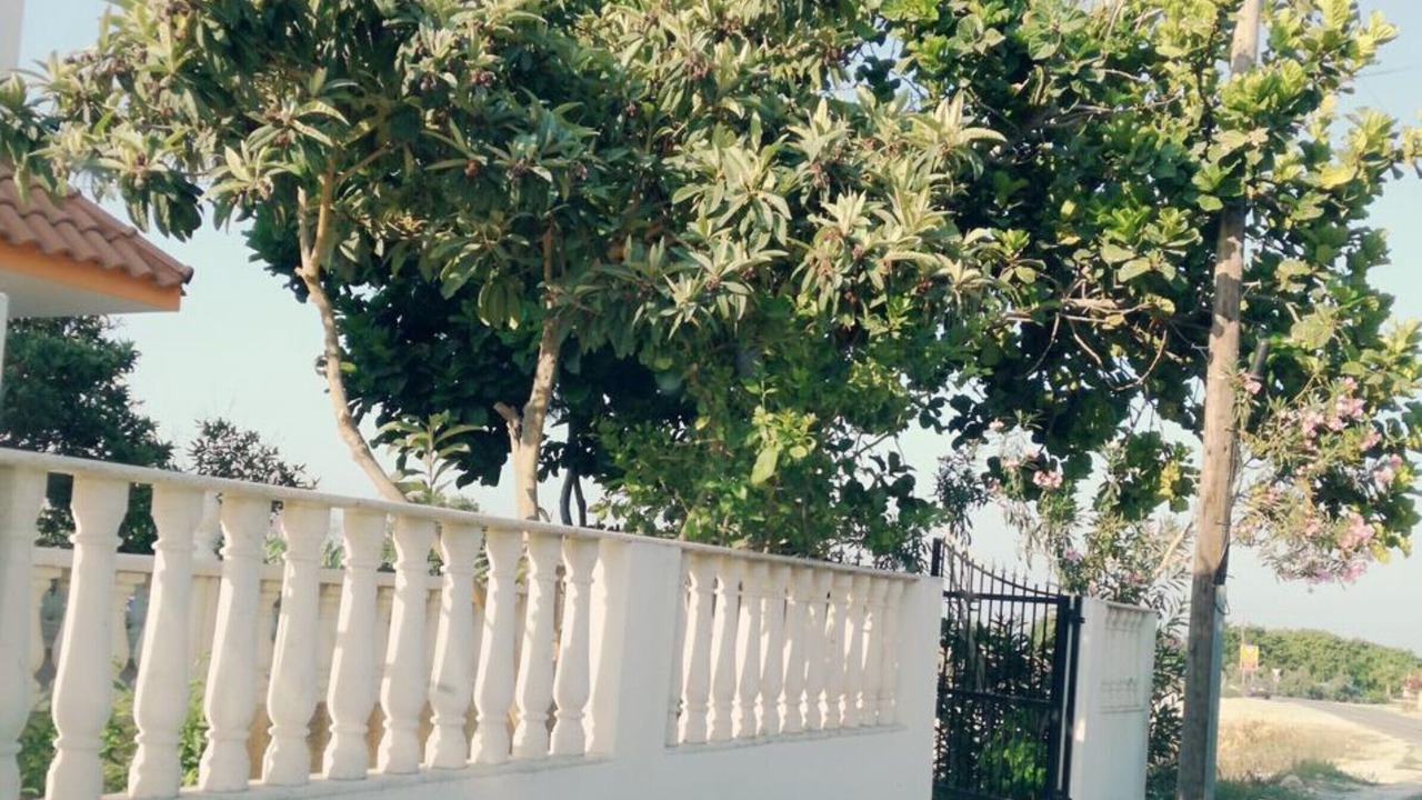 Photo of Outdoor in Chlorakas