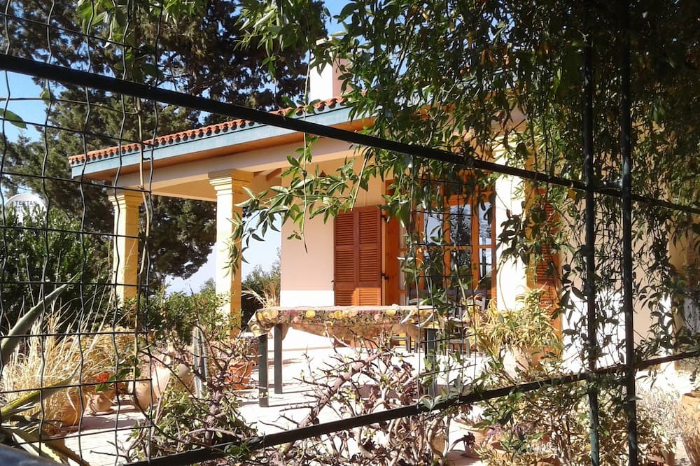 Photo of Others in Ilgaz