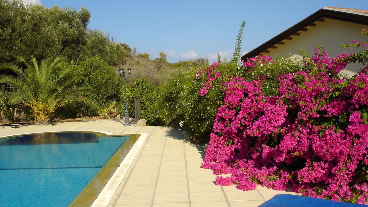Photo of Outdoor in Kayalar