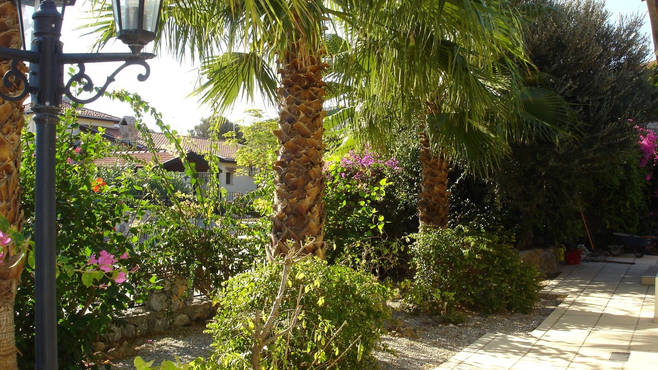 Photo of Outdoor in Kayalar