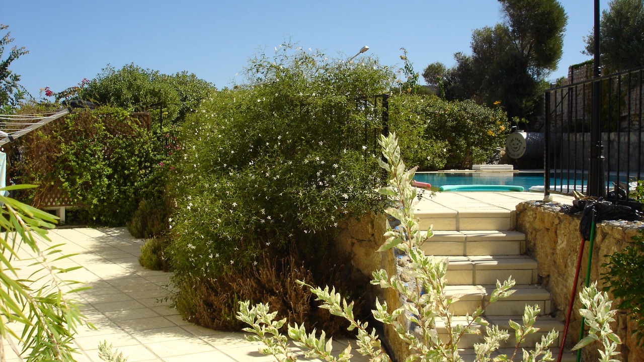 Photo of Outdoor in Kayalar
