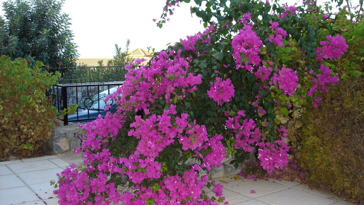 Photo of Outdoor in Kayalar