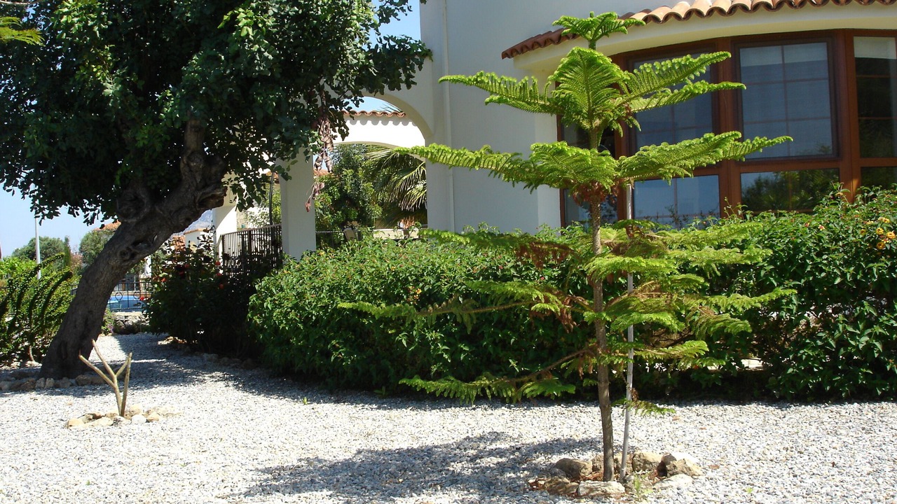 Photo of Outdoor in Kayalar