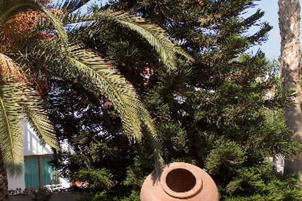 Photo of Others in Pissouri