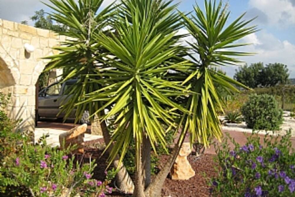 Photo of Outdoor in Aphrodite Hills