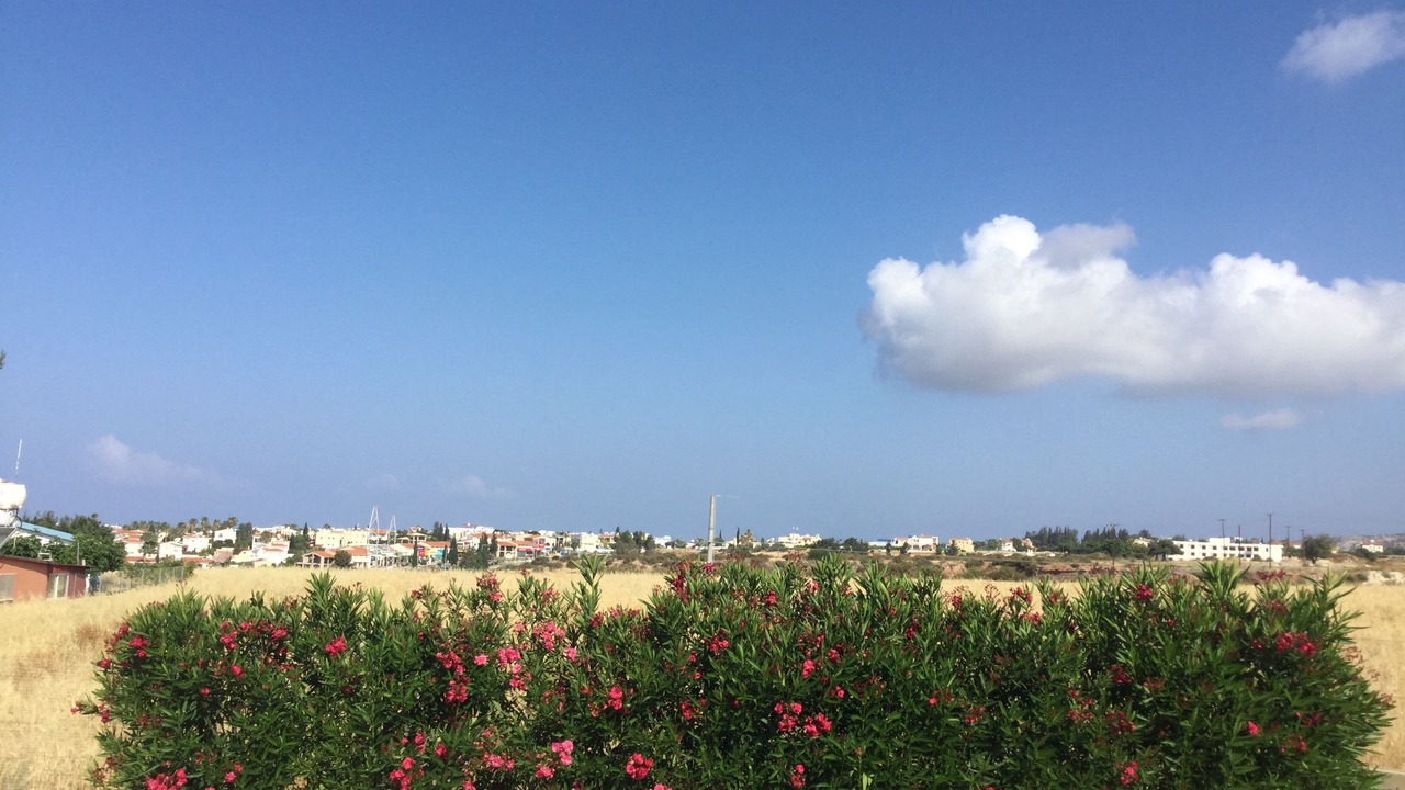 Photo of Outdoor in Pegeia