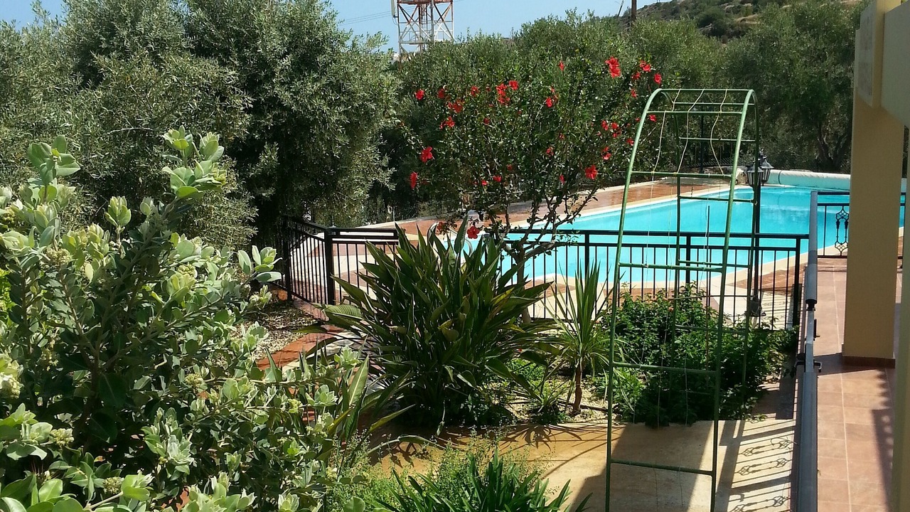 Photo of Outdoor in Nea Dimmata