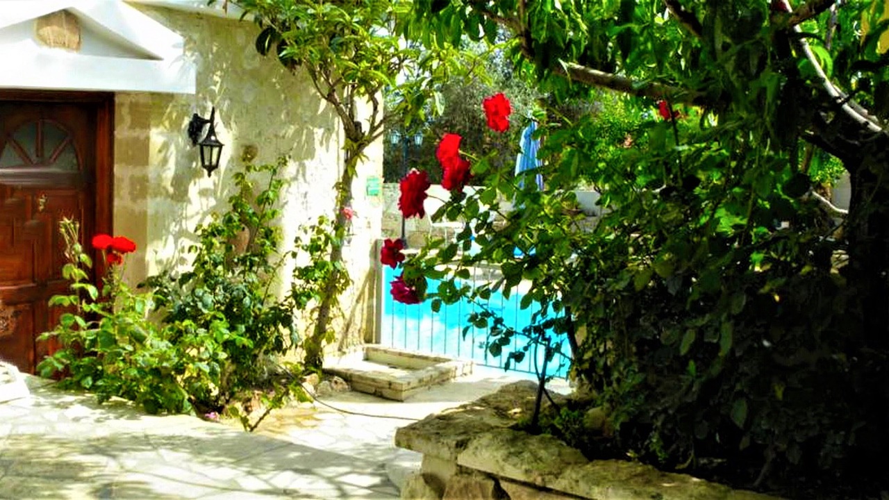 Photo of Outdoor in Peristerona