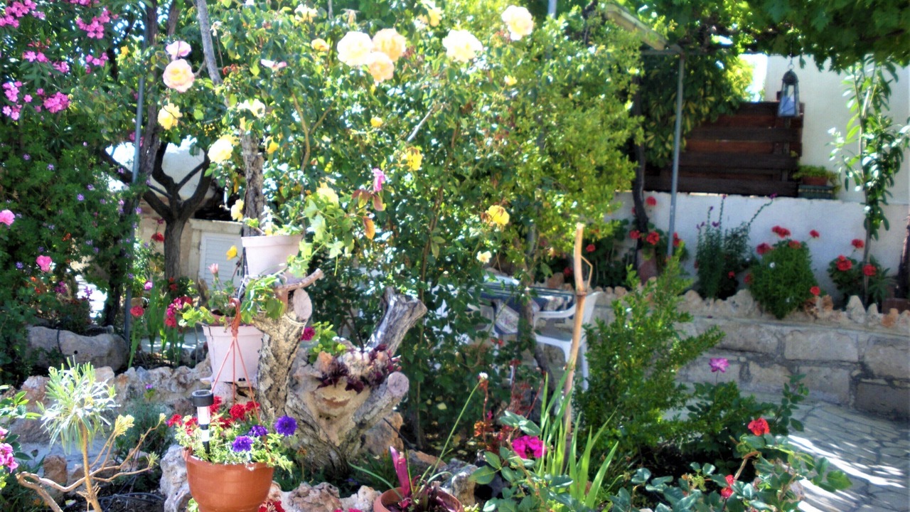 Photo of Outdoor in Peristerona