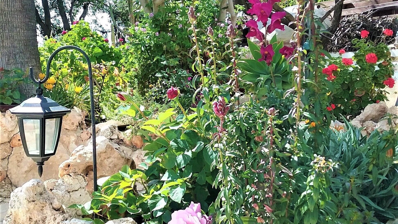 Photo of Outdoor in Peristerona