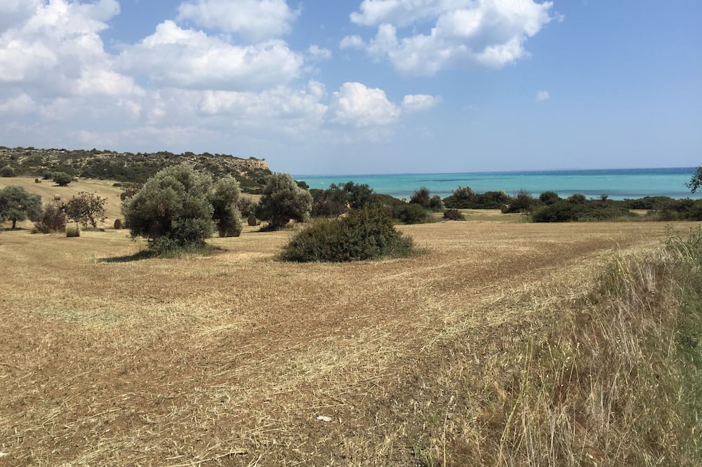 Photo of Others in Pissouri
