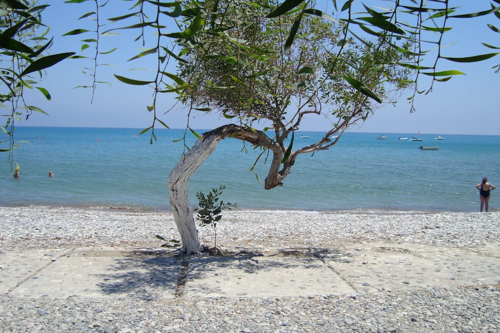 Photo of Others in Pissouri