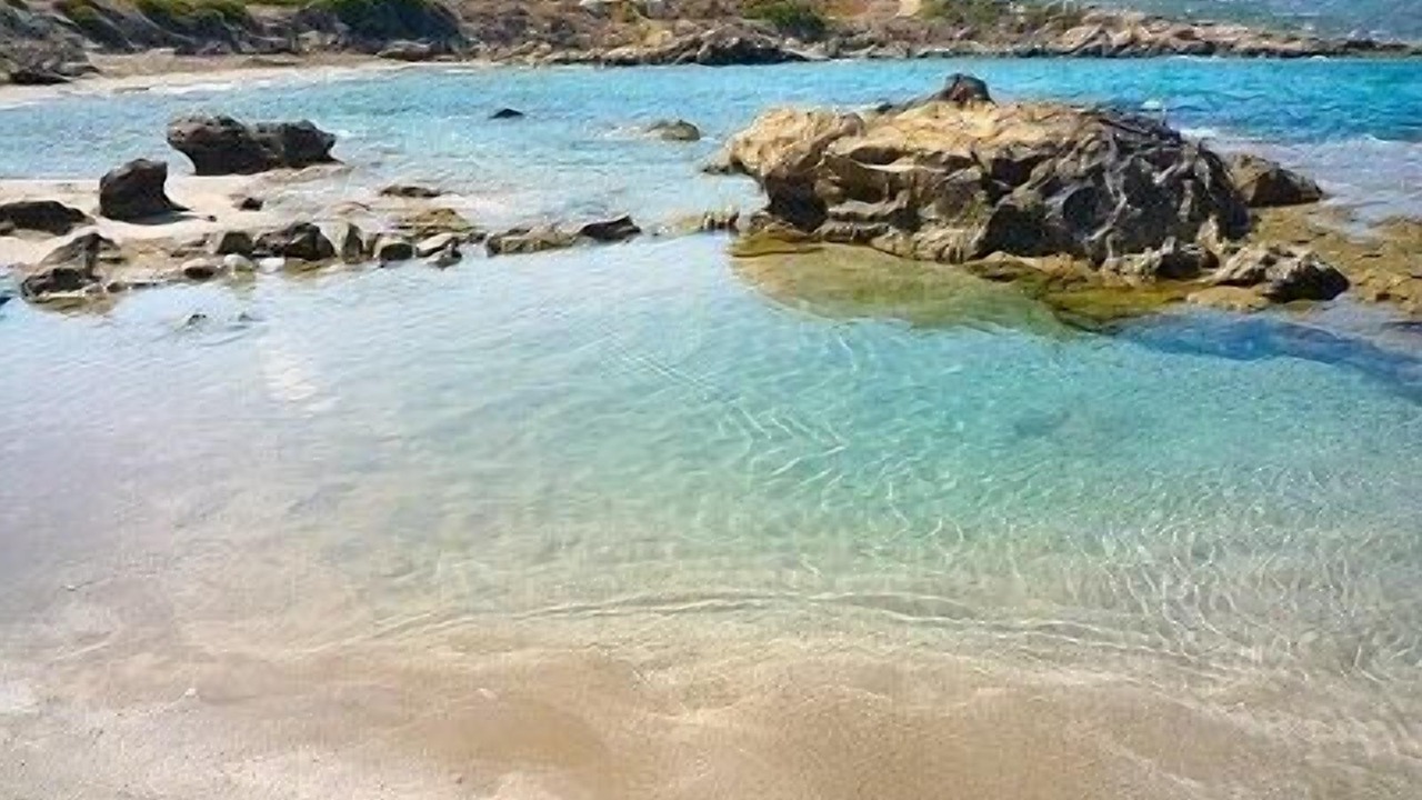 Photo of Others in Karsiyaka
