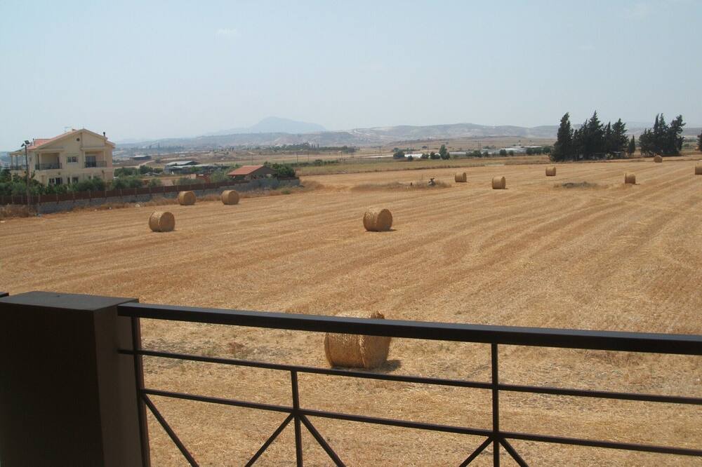 Photo of Others in Kiti