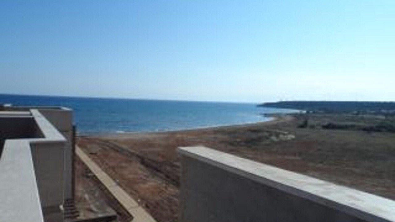 Photo of Others in Bafra