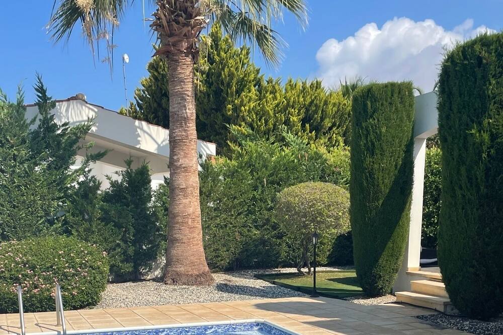 Photo of Outdoor in Pegeia