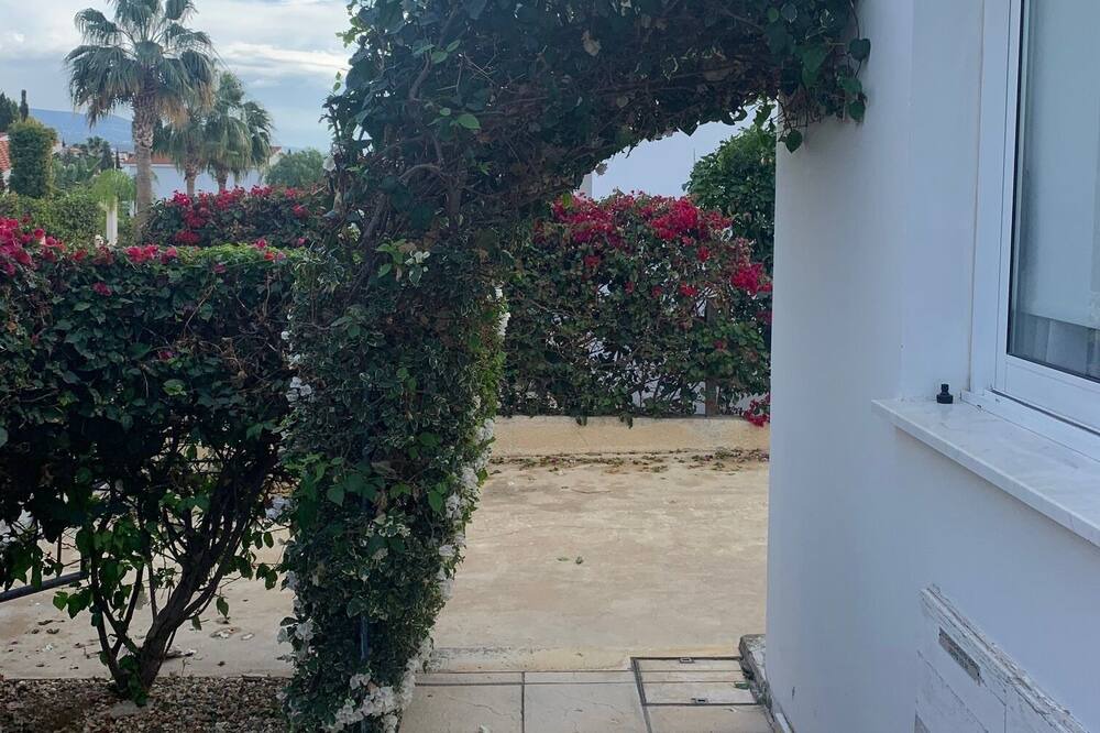 Photo of Outdoor in Pegeia
