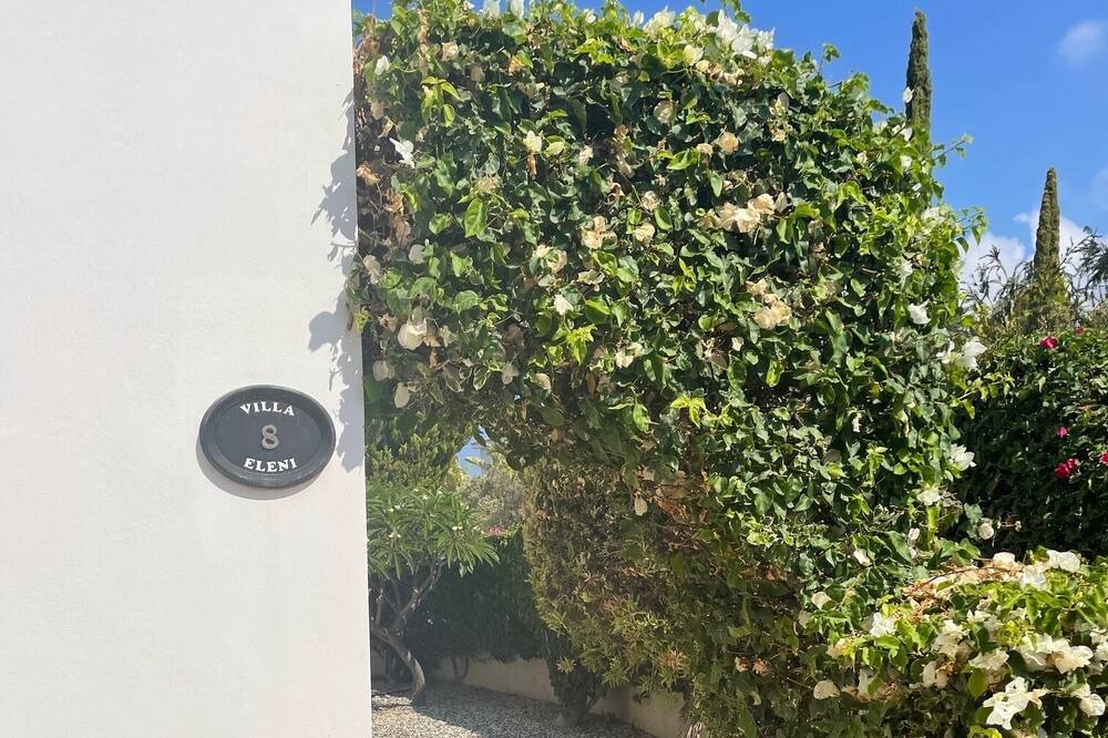Photo of Outdoor in Pegeia