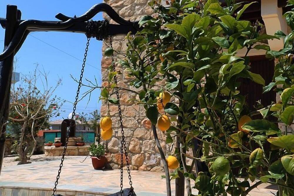 Photo of Others in Pomos
