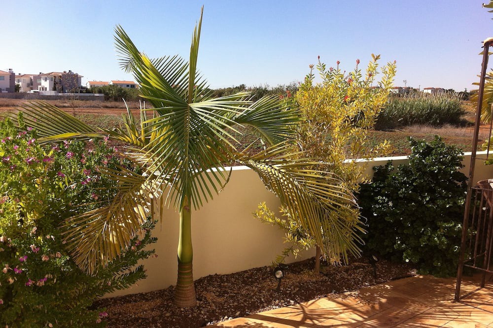 Photo of Others in Paralimni