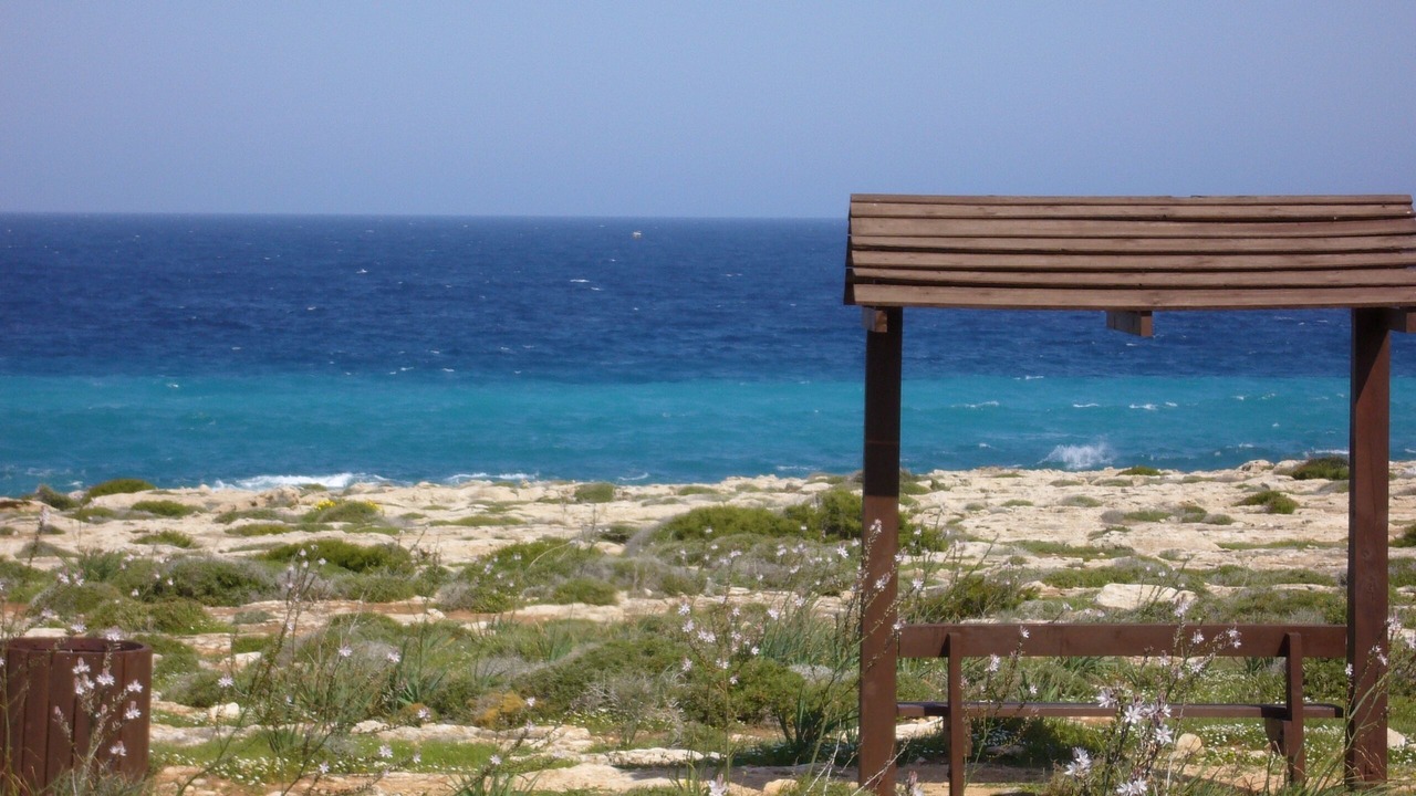 Photo of Others in Cape Greko