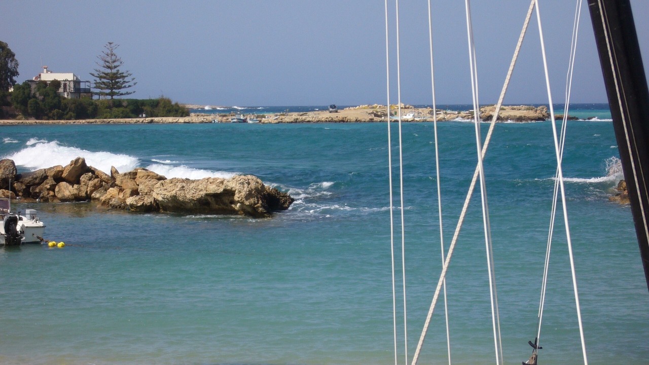 Photo of Others in Cape Greko