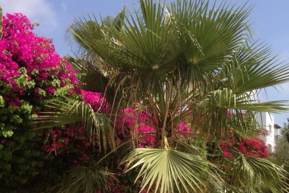 Photo of Outdoor in Chlorakas
